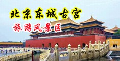 欧美大鸡巴插入大骚逼视频中国北京-东城古宫旅游风景区